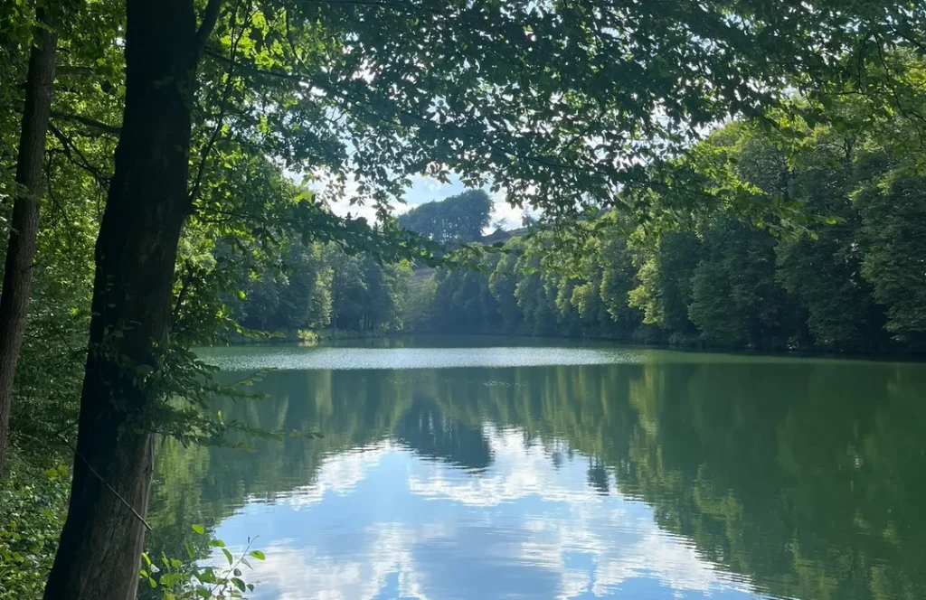 Düsseldorf Airport to Lüdenscheid Taxi: Your Ultimate Transfer Guide to the Sauerland’s Hidden Gem