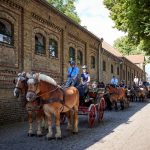 From Cologne to Warendorf: Your Ultimate Guide to Scenic German Transfers & Equestrian Adventures