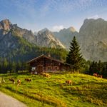 Dusseldorf Airport to Niederaubem: Your Ultimate Transfer Guide & Bavarian Adventure