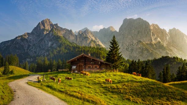 Dusseldorf Airport to Niederaubem: Your Ultimate Transfer Guide & Bavarian Adventure