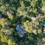 Düsseldorf Airport to Pulheim: Your Ultimate Transfer Guide & Rhine Adventure