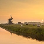 Düsseldorf Airport to Waddinxveen: Your Ultimate Taxi Transfer Guide 🇩🇪→🇳🇱