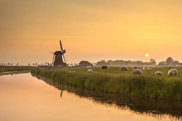 Düsseldorf Airport to Waddinxveen: Your Ultimate Taxi Transfer Guide 🇩🇪→🇳🇱