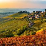 The Ultimate Travel Guide: Your Seamless Journey from Barolo to Milan Malpensa Airport
