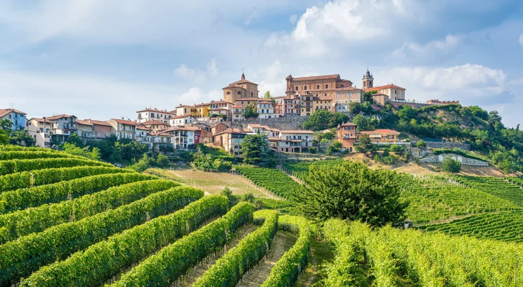 From Vineyards to the Sky: Your Stress-Free Borgomale to Milan Malpensa Airport Transfer