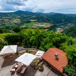 From Vineyards to Runways: Your Seamless Journey from Carpaneto Piacentino to Milan Malpensa