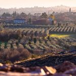 The Ultimate Traveler’s Guide: Your Seamless Journey from Casalotto to Milan Malpensa Airport