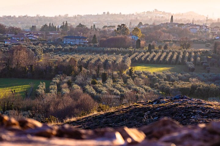 The Ultimate Traveler’s Guide: Your Seamless Journey from Casalotto to Milan Malpensa Airport