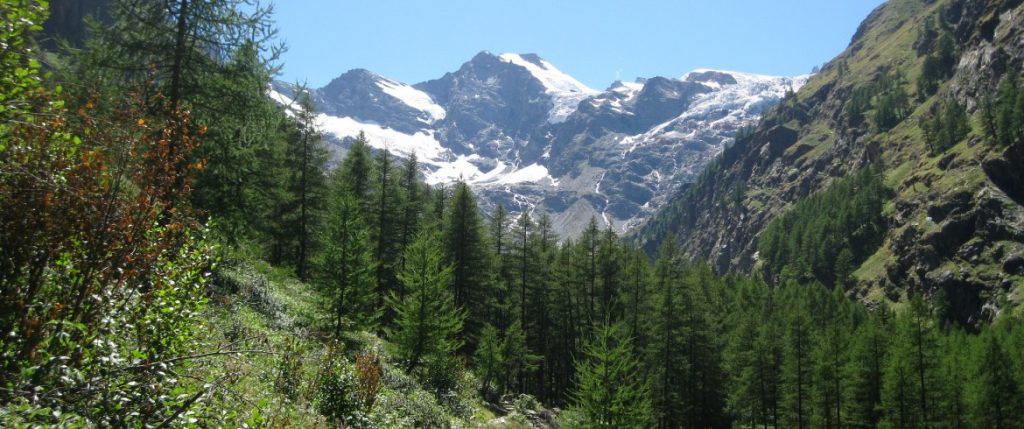 Your Ultimate Guide: From Alpine Serenity in Cogne to Milan Malpensa Airport