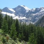 Your Ultimate Guide: From Alpine Serenity in Cogne to Milan Malpensa Airport