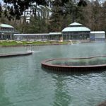 From Lakeside Bliss to Milan’s Skies: Your Seamless Transfer from Colà di Lazise to Milan Malpensa Airport