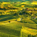 From Piedmont to the Plane: Your Foglizzo to Milan Malpensa Taxi Guide