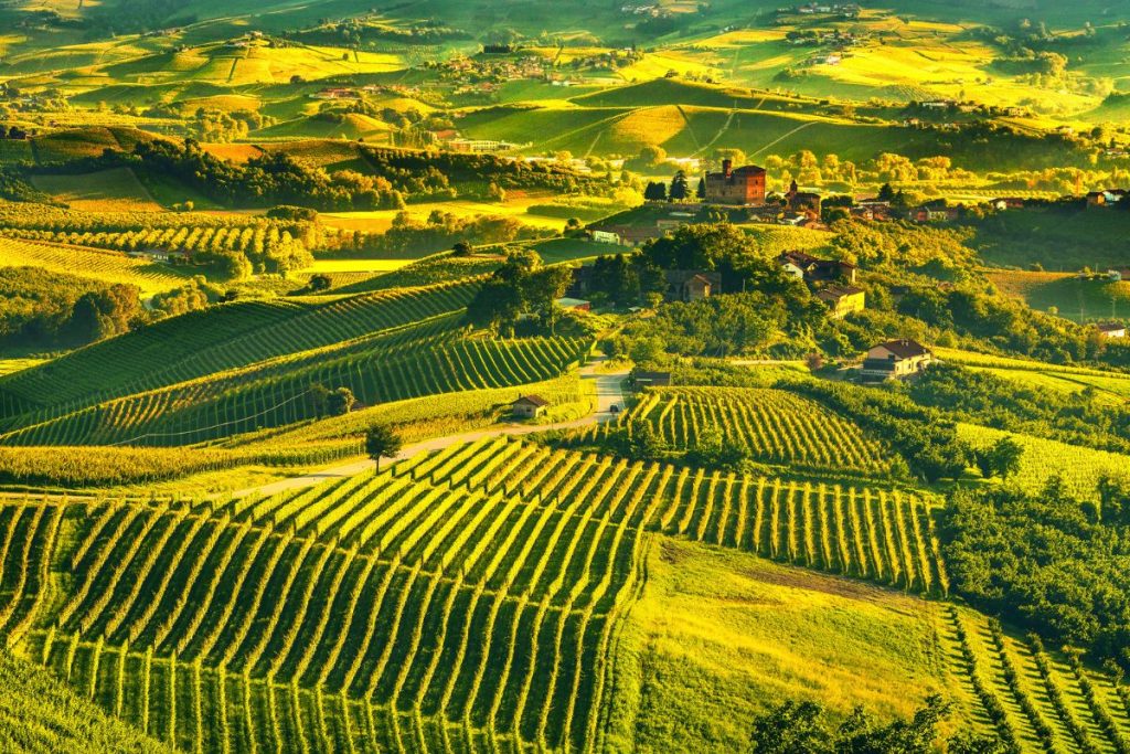 The Ultimate Florence to Milan Airport Transfer Guide: A Stress-Free Journey Through Italy’s Heart