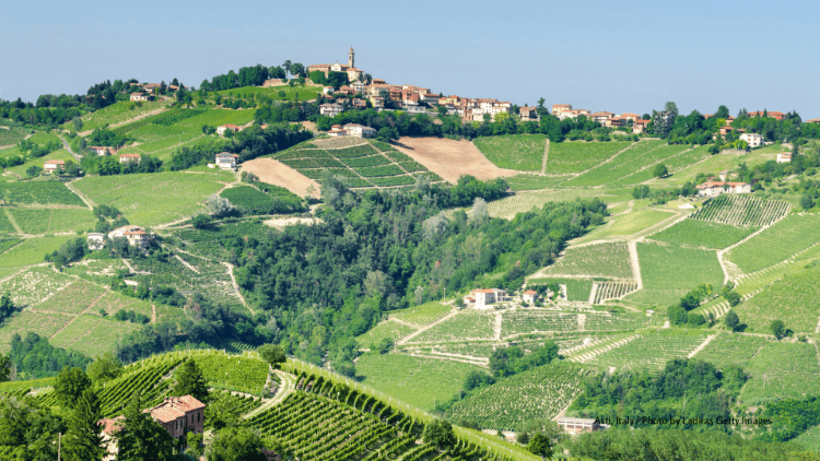 Ultimate Guide: Travel from Milan Malpensa Airport to Biletta Asti – Scenic, Comfortable & Stress-Free Ride