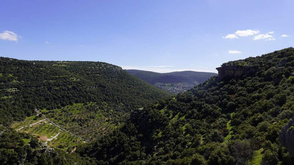 Ajloun to Umm Qais Taxi Route: The Ultimate Scenic Journey Through Northern Jordan