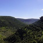 Ajloun to Umm Qais Taxi Route: The Ultimate Scenic Journey Through Northern Jordan