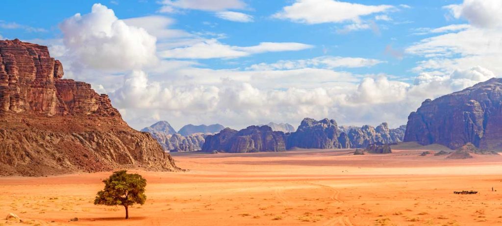 🚗 Epic Road Trip: From Ajloun to Wadi Rum – Your Ultimate Jordan Travel Guide (2026)