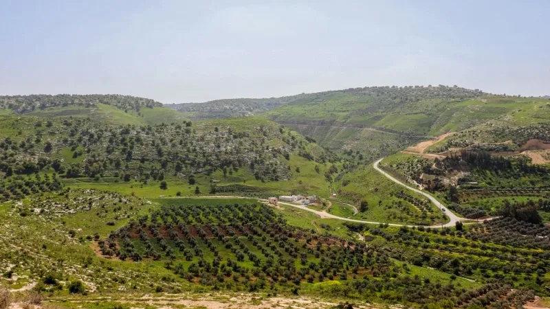 Your Ultimate Guide to Traveling from Irbid to Queen Alia Airport