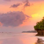 Ultimate Guide to the Diani Airport (UKA) to Swahili Beach Transfer in Kenya