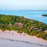Explore Paradise: Your Ultimate Guide from Moi International Airport to Chale Island Transfer