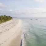 Moi International Airport (MBA) to Kinondo Travel Guide: Your Ultimate Kenya Road Trip