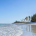 🌴 Ultimate Guide to Traveling from Moi International Airport (Mombasa) to Ukunda – Scenic Routes, Tips & Best Stops