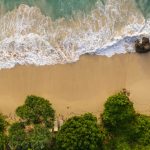 From Msambweni Beach to Moi International Airport (MBA): The Ultimate Airport Transfer Guide for Kenya’s Coast Travelers