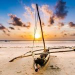 Epic Coastal Safari & Airport Transfer Guide: Shimba Hills to Diani Airport 🚗🌴