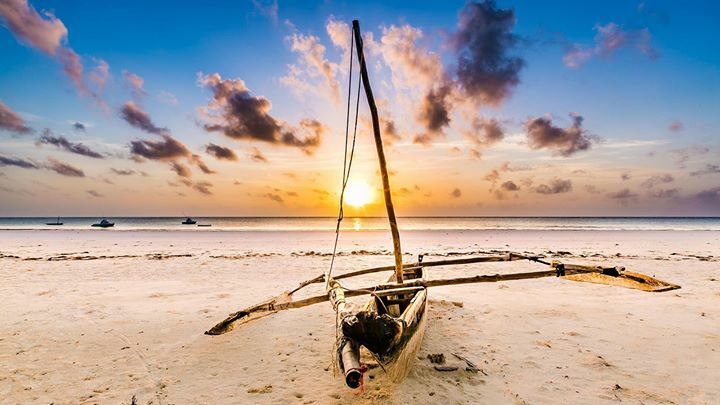 Epic Coastal Safari & Airport Transfer Guide: Shimba Hills to Diani Airport 🚗🌴