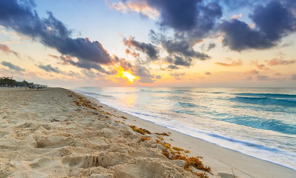 🌴 Playa Mujeres to Tulum Transfer Guide (2026) — Easy, Safe & Scenic Travel