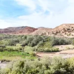 Discover Morocco by Road: The Ultimate Guide to Taxi Travel & Private Transfers