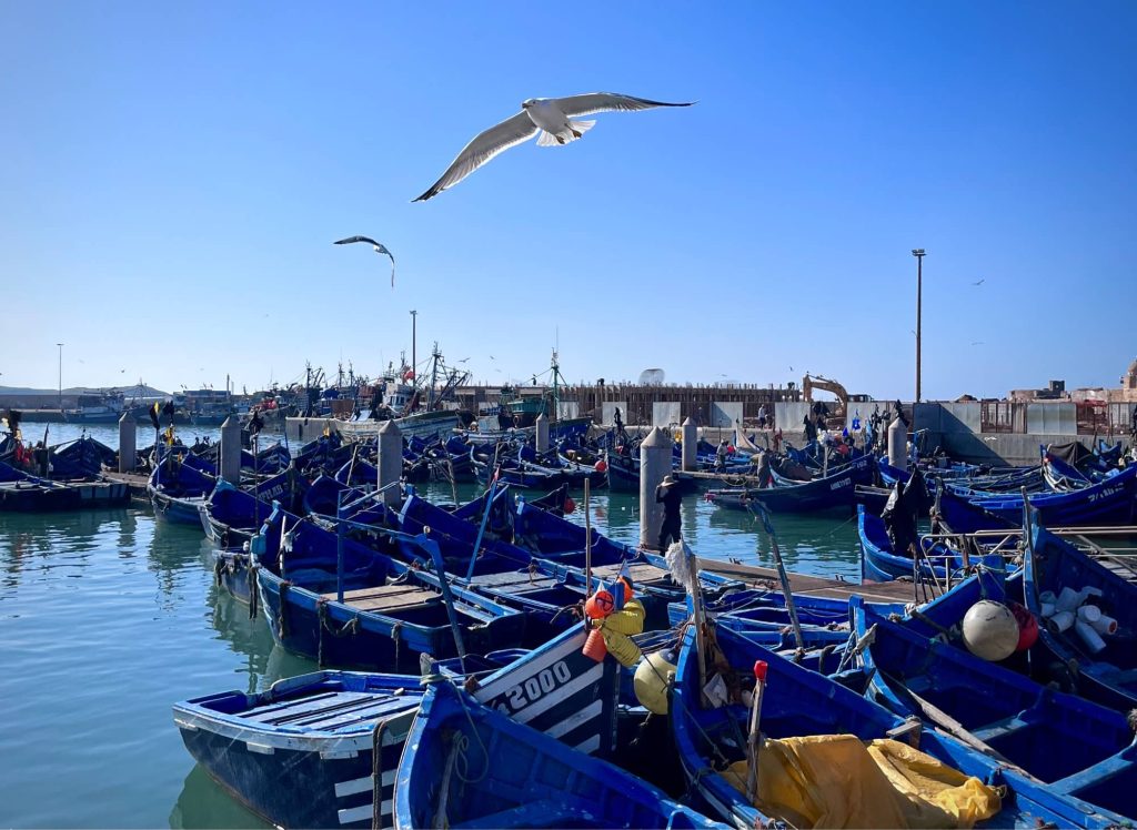 ✨ Explore the Atlantic Coast: Agadir Airport to Essaouira Travel Guide (Ultimate 2026 Route & Tips)