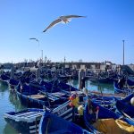 ✨ Explore the Atlantic Coast: Agadir Airport to Essaouira Travel Guide (Ultimate 2026 Route & Tips)