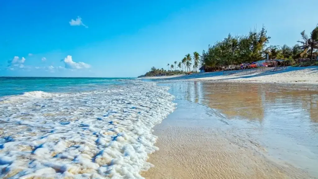 Your Complete Guide to a Seamless Journey from Watamu Beach to Moi International Airport