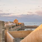 From Coastal Breezes to Red City Magic: Your Ultimate El Jadida to Marrakech Airport Transfer Guide