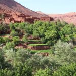 From the Mountains to the Sea: The Ultimate Beni Mellal to Taghazout Road Trip