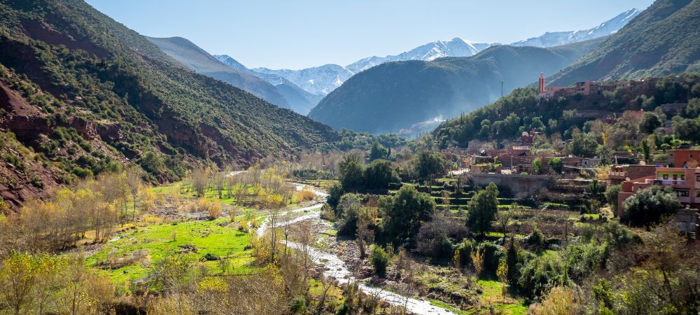Escape the City: The Ultimate Casablanca to Ourika Valley Day Trip Guide
