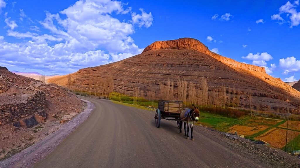 From Atlas Oasis to Airport Runway: Your Perfect Transfer from Club Med La Palmeraie to Casablanca Airport