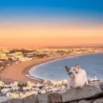 From Coastal Serenity to Sunny Shores: The Ultimate Dar Bouazza to Agadir Al Massira Airport Transfer Guide