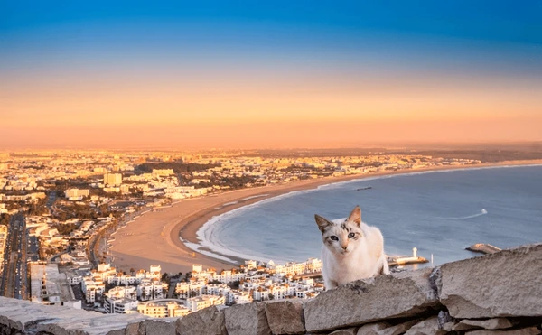 From Coastal Serenity to Sunny Shores: The Ultimate Dar Bouazza to Agadir Al Massira Airport Transfer Guide