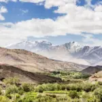 From Demnate’s Hidden Gems to Marrakech’s Vibrant Heart: The Ultimate Moroccan Journey