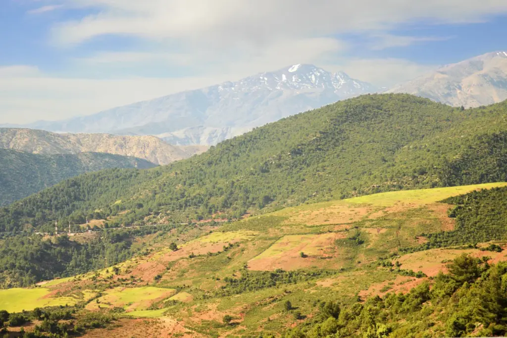 From the Atlas Foothills to the Mediterranean Coast: Your Ultimate Guide to the Demnate to Tangier Route